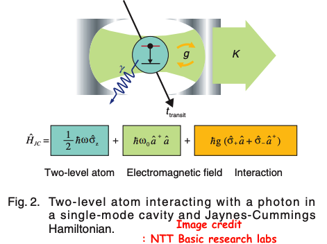 tansmon in cavity.png