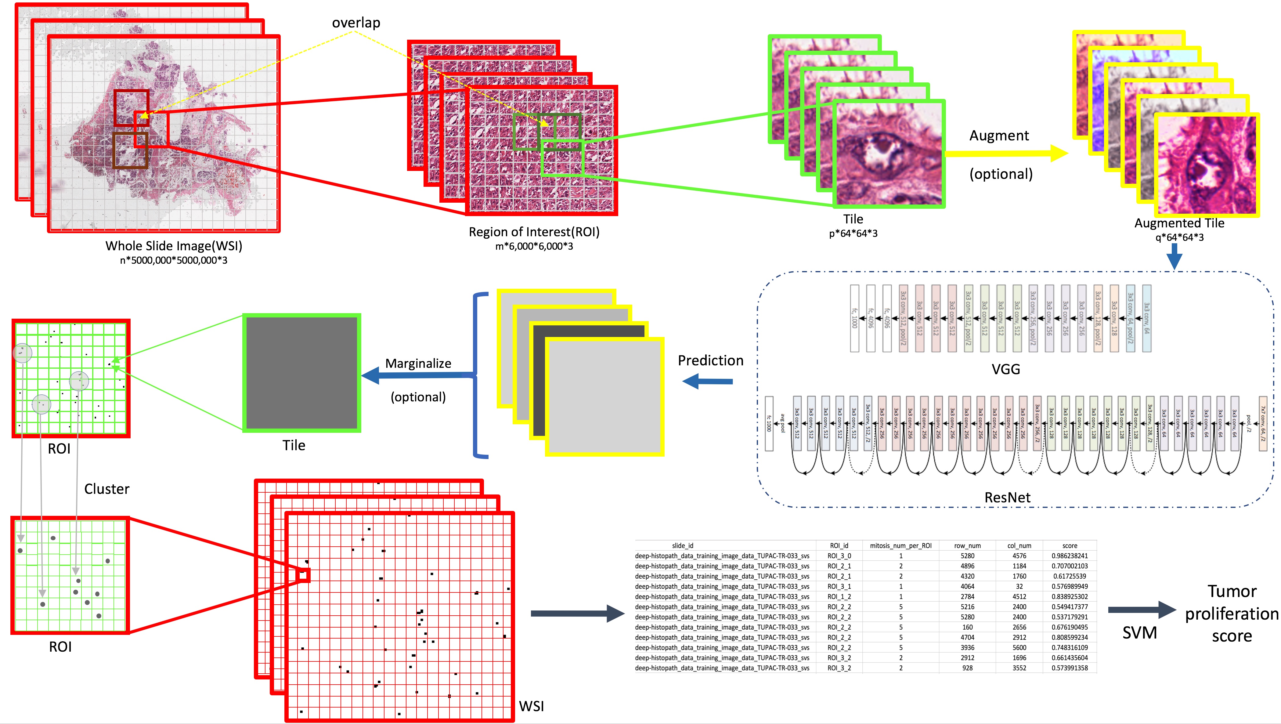 inference_workflow.jpg