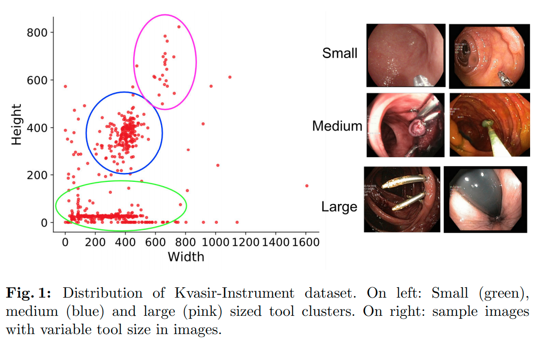 data_distribution.png