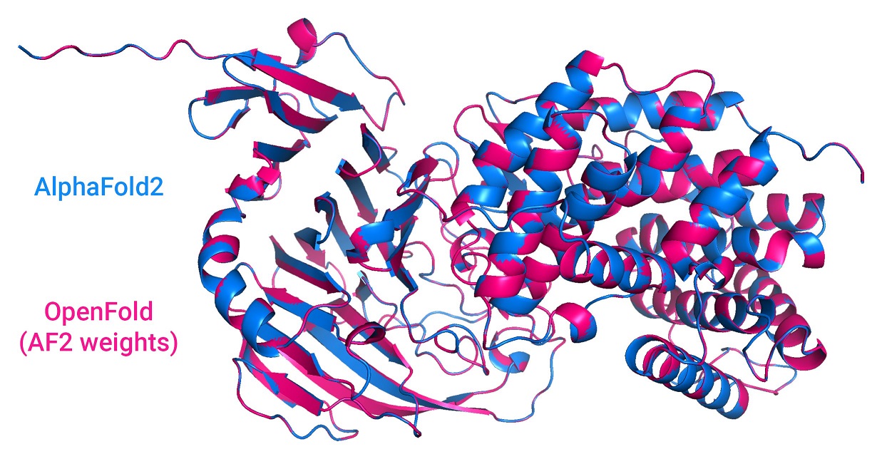 openFold_sample.jpg