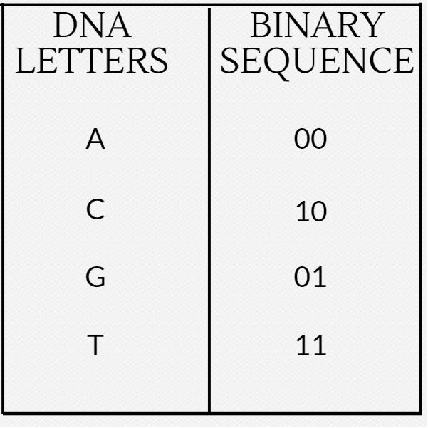 genome-coding.jpg