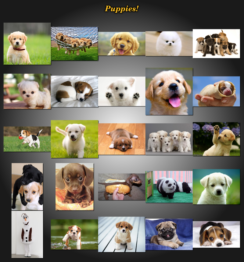 googliser-gallery-puppies-s.png