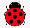 ladybug.jpeg