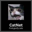 catnetbutton.png