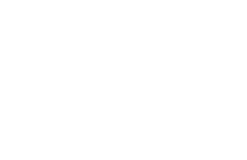 Logo_BX1.png