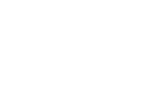 Logo_Bruzz.png