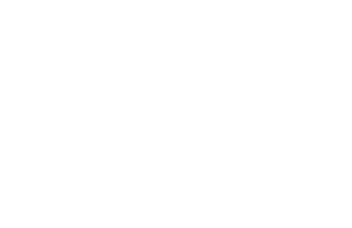 Logo_RAI3.png