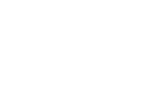 Logo_RingTV.png