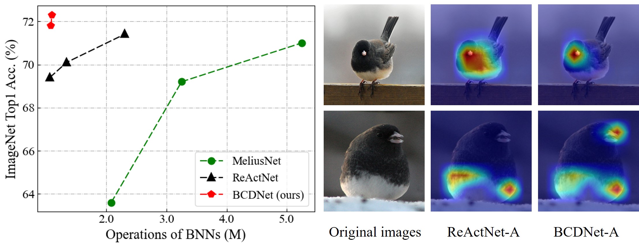 fig2.jpg