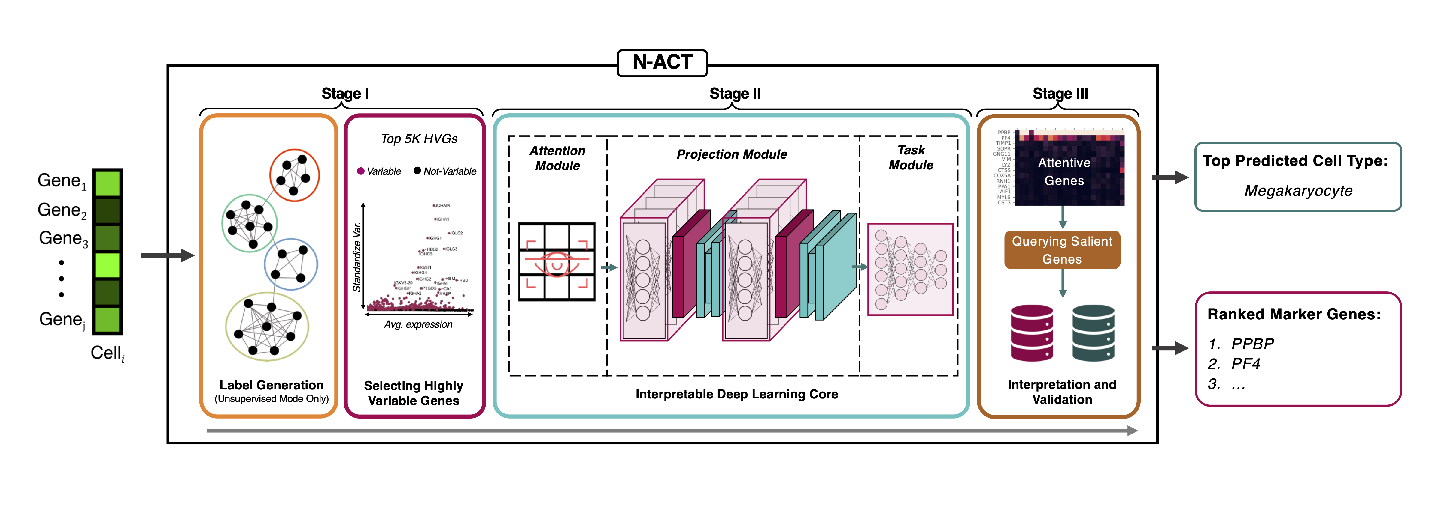 N-ACT_Diagram.png