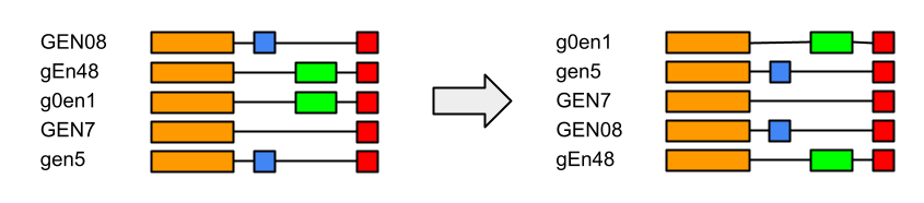 Snapshot of example of the alphanumerical option in action