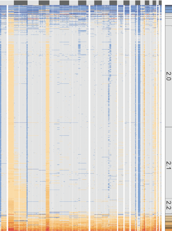 heatmap.png