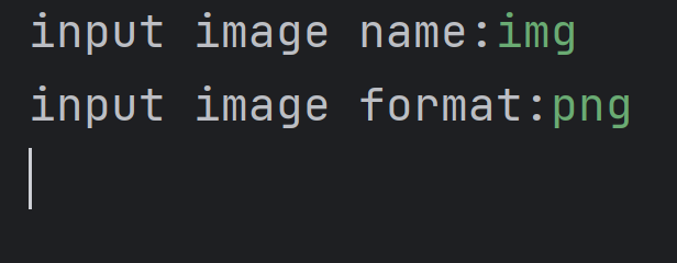 输入格式.png