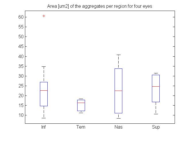 AreasPer4Regions4Eyes.jpg