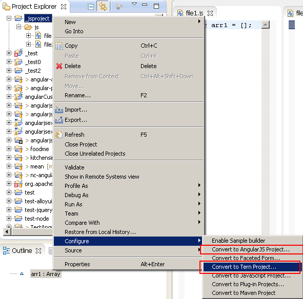 Configure to Tern Project