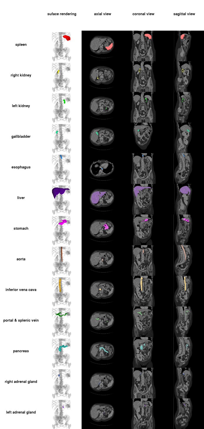 abdomen_overview_small.png