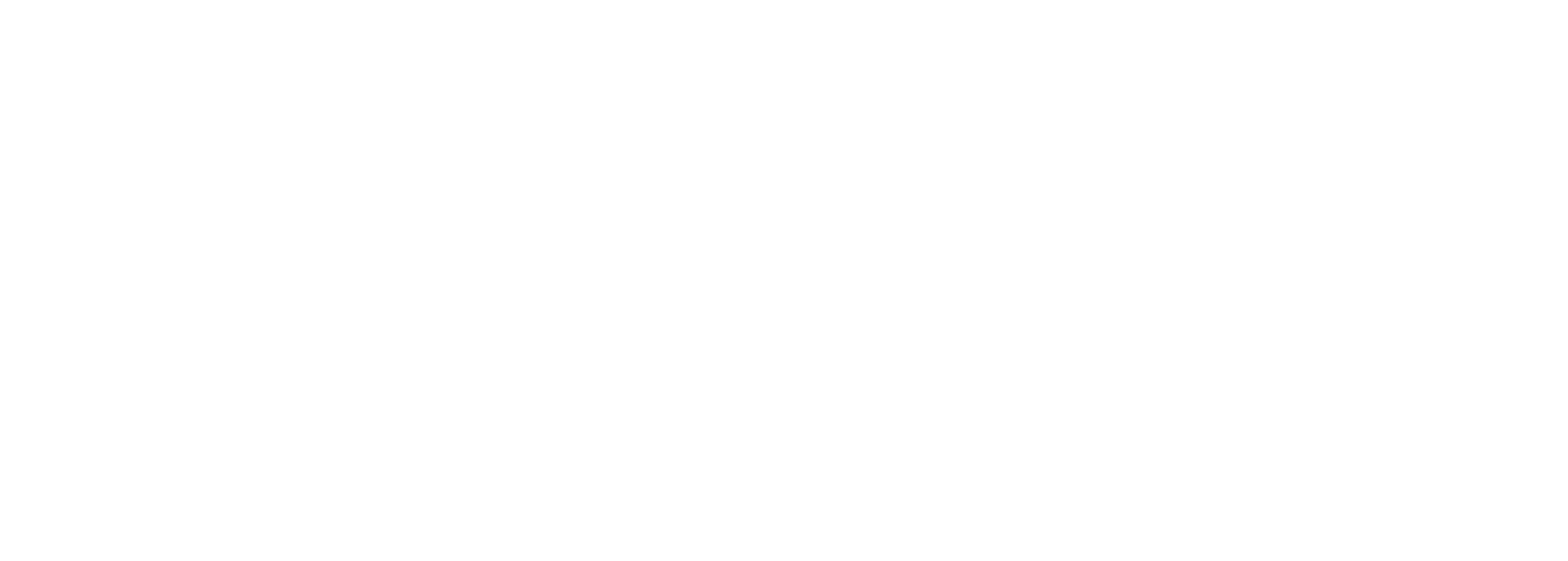 BIDS_logo_white_transparent_background_crop.png