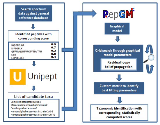 peptonizer_workflow.png