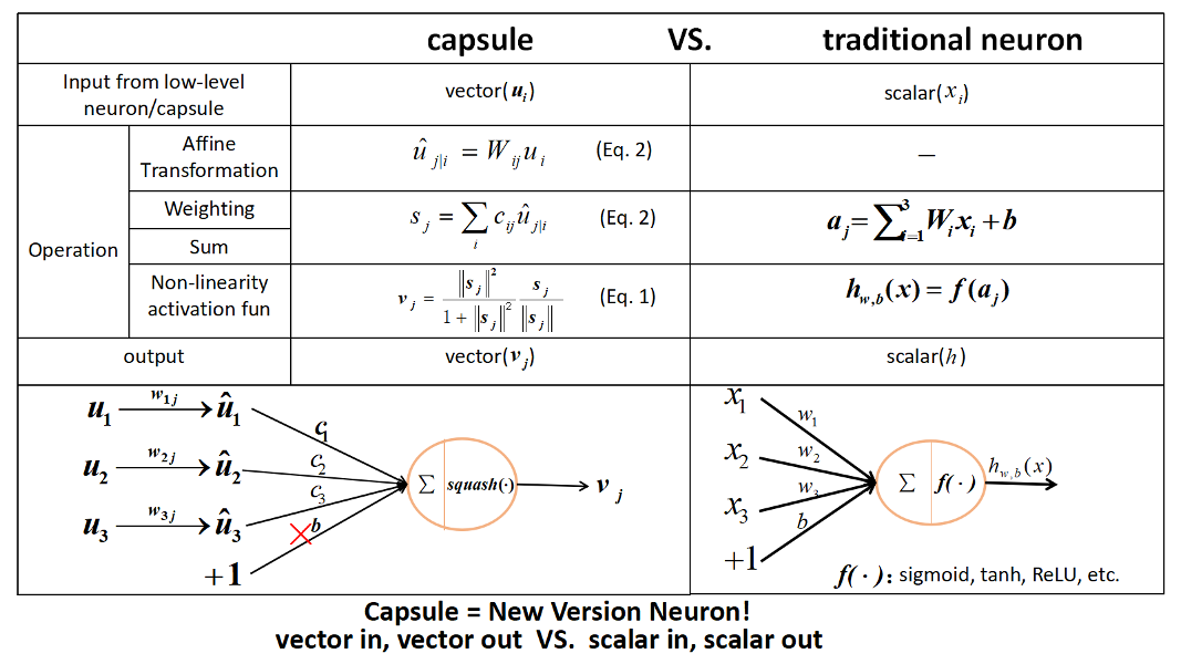 capsuleVSneuron.png