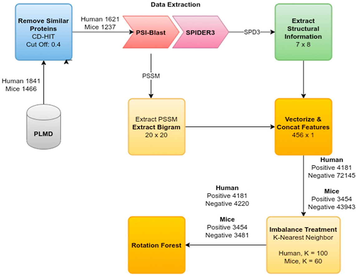 flowchart.jpg