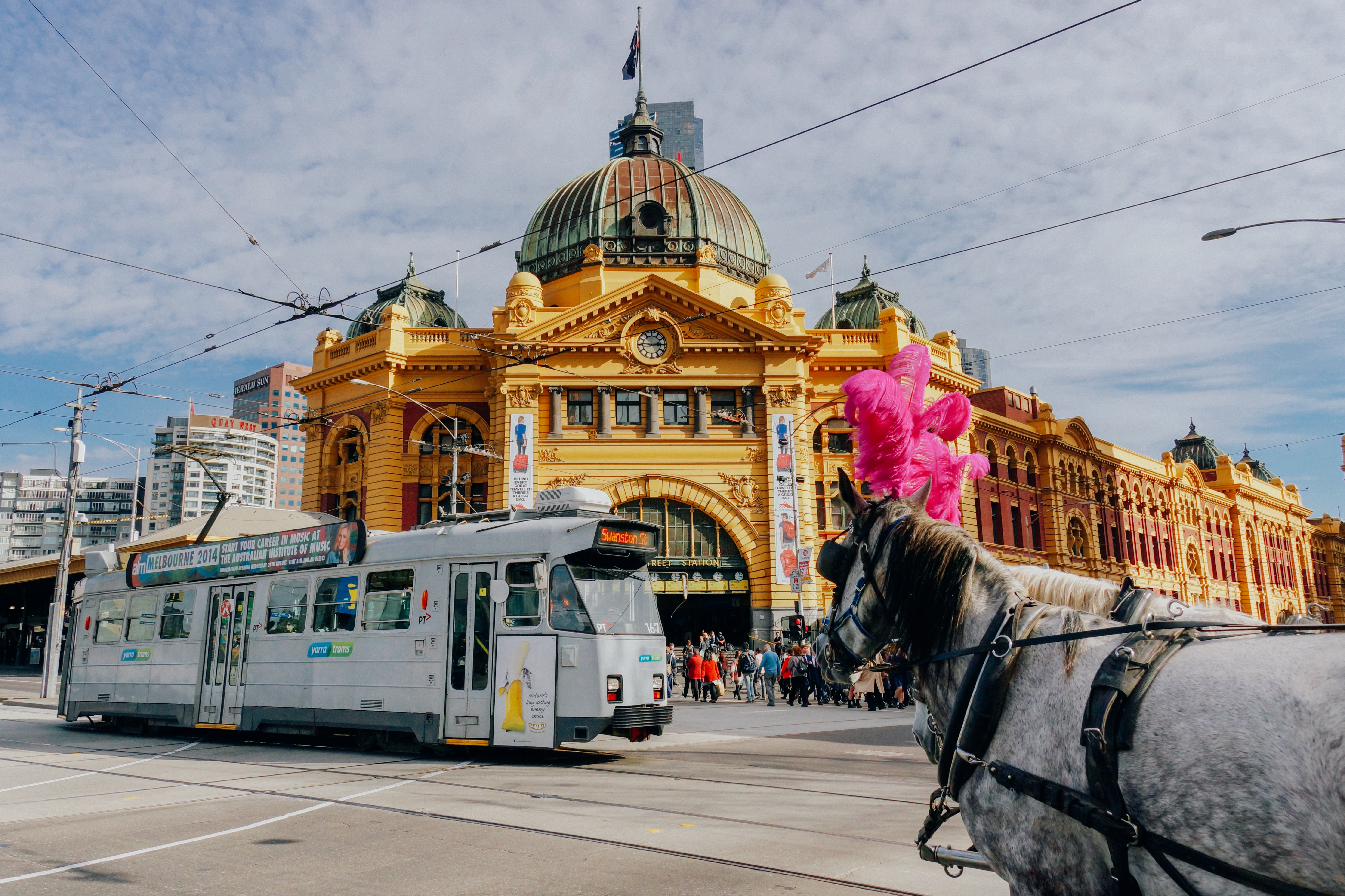 melbournecity.jpg