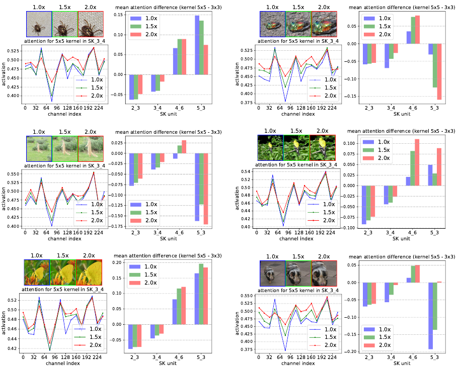 pics_attention_3_scales.png