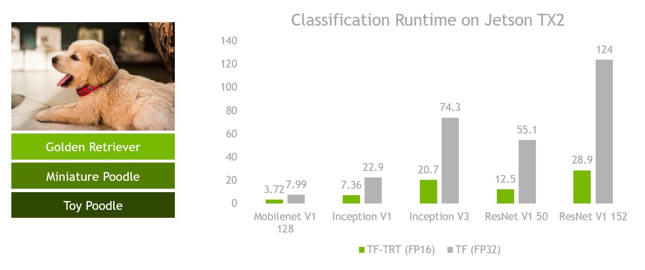 classification_graphic.jpg