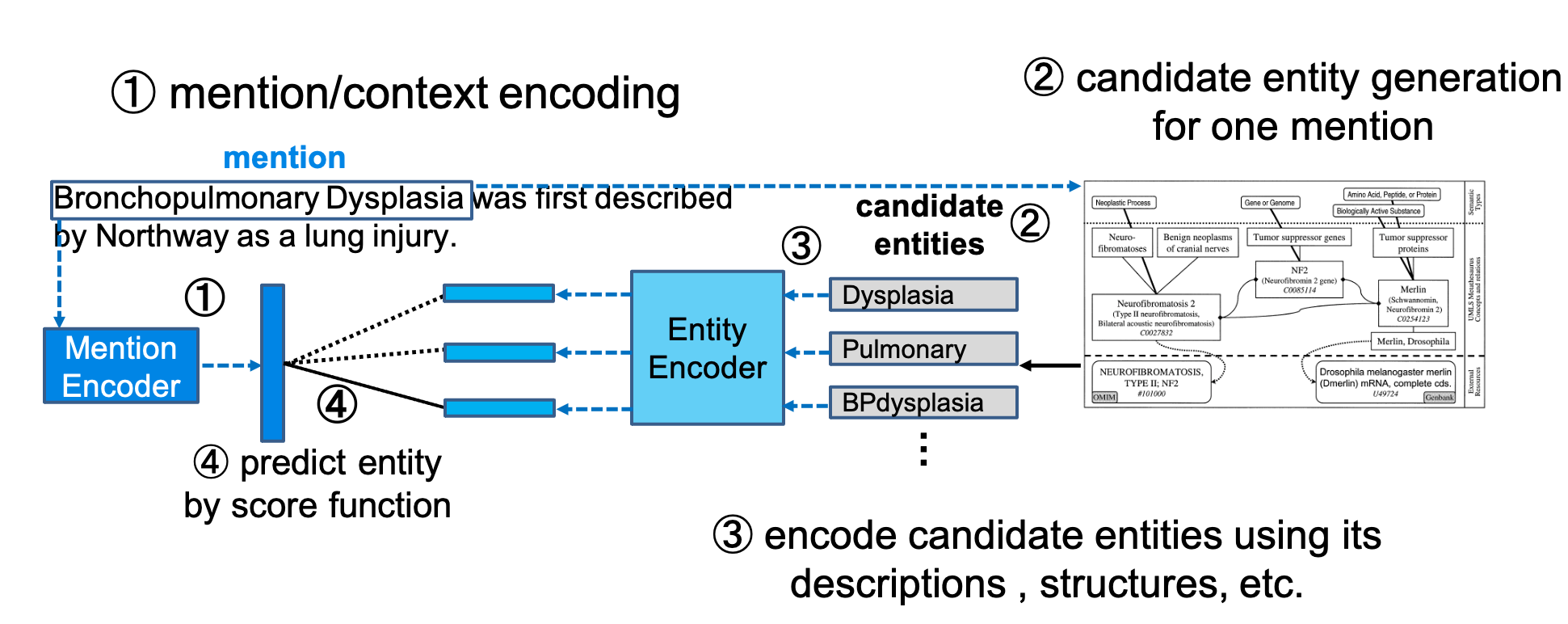 candidate_biencoder.png