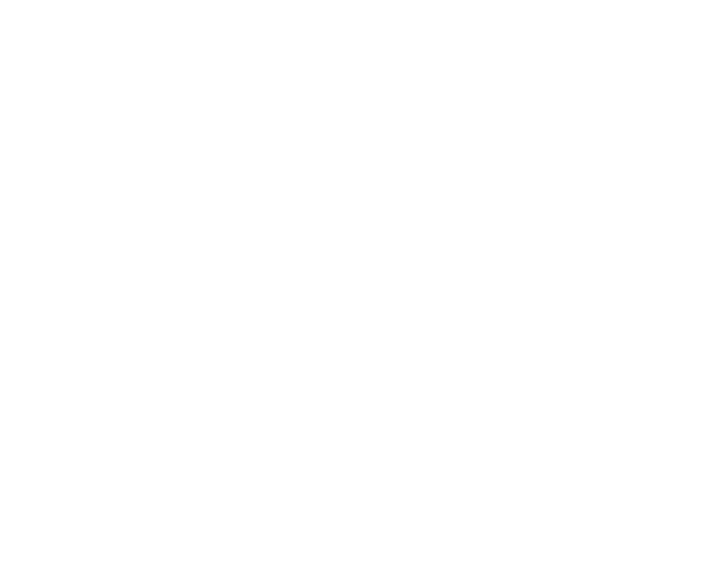 logo-team-cherry.png