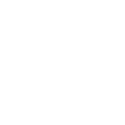 Bandai - WonderSwan.png