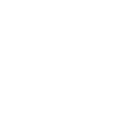 Magnavox - Odyssey2.png