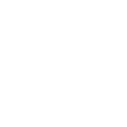 Nintendo - Game Boy Color.png