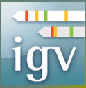 IGV-icon.png