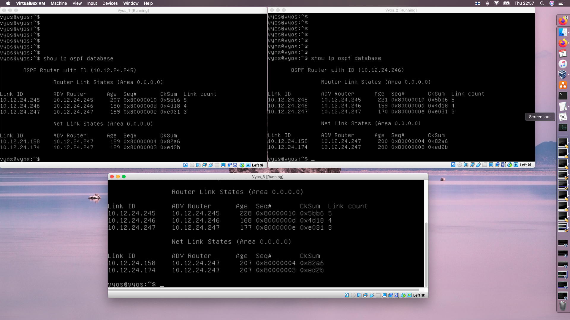 show-ip-ospf-database.png