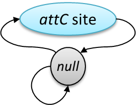 hattci-logo.png