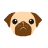 pug.png