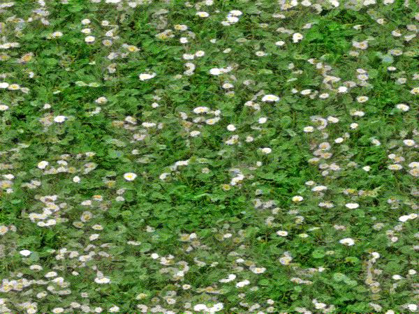 grass_sample1.jpg