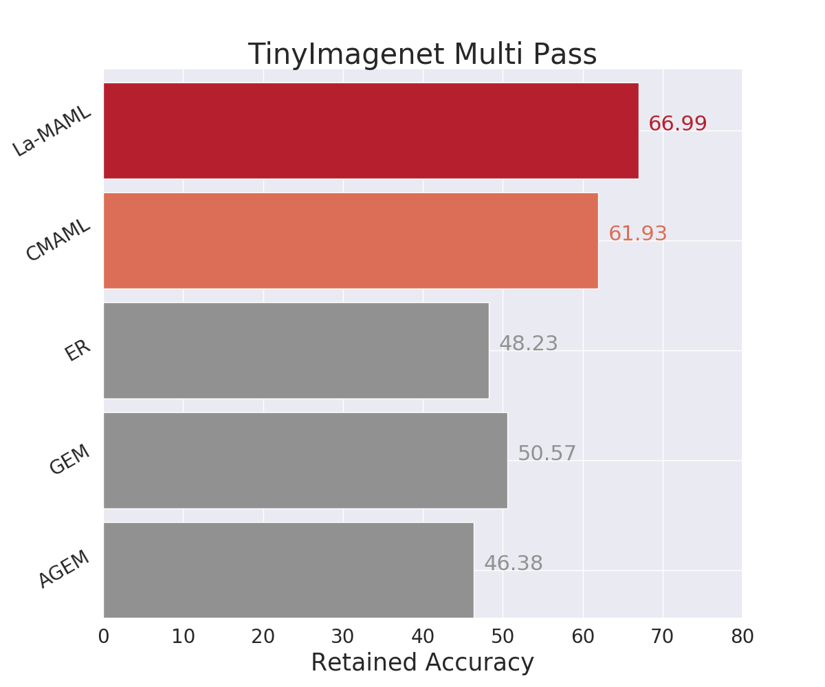 TinyImagenet_multi_pass.png