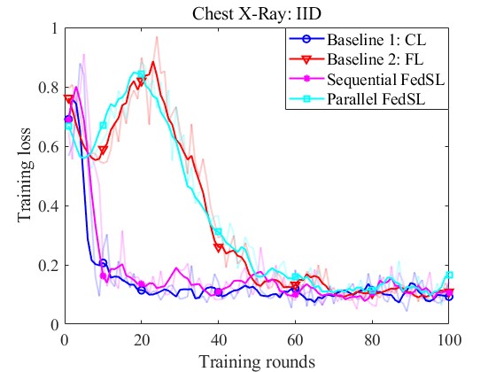 chest_xray_loss_iid.jpg