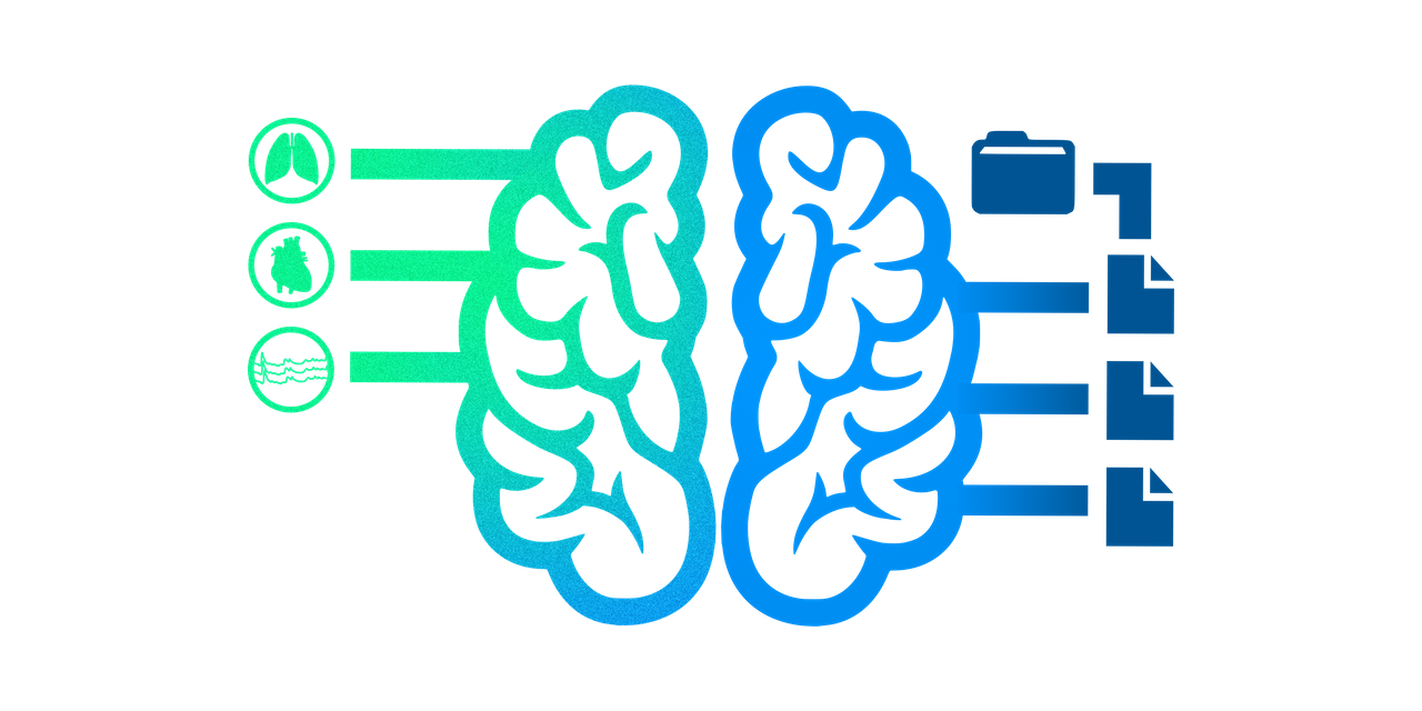 phys2bids_logo1280×640.png