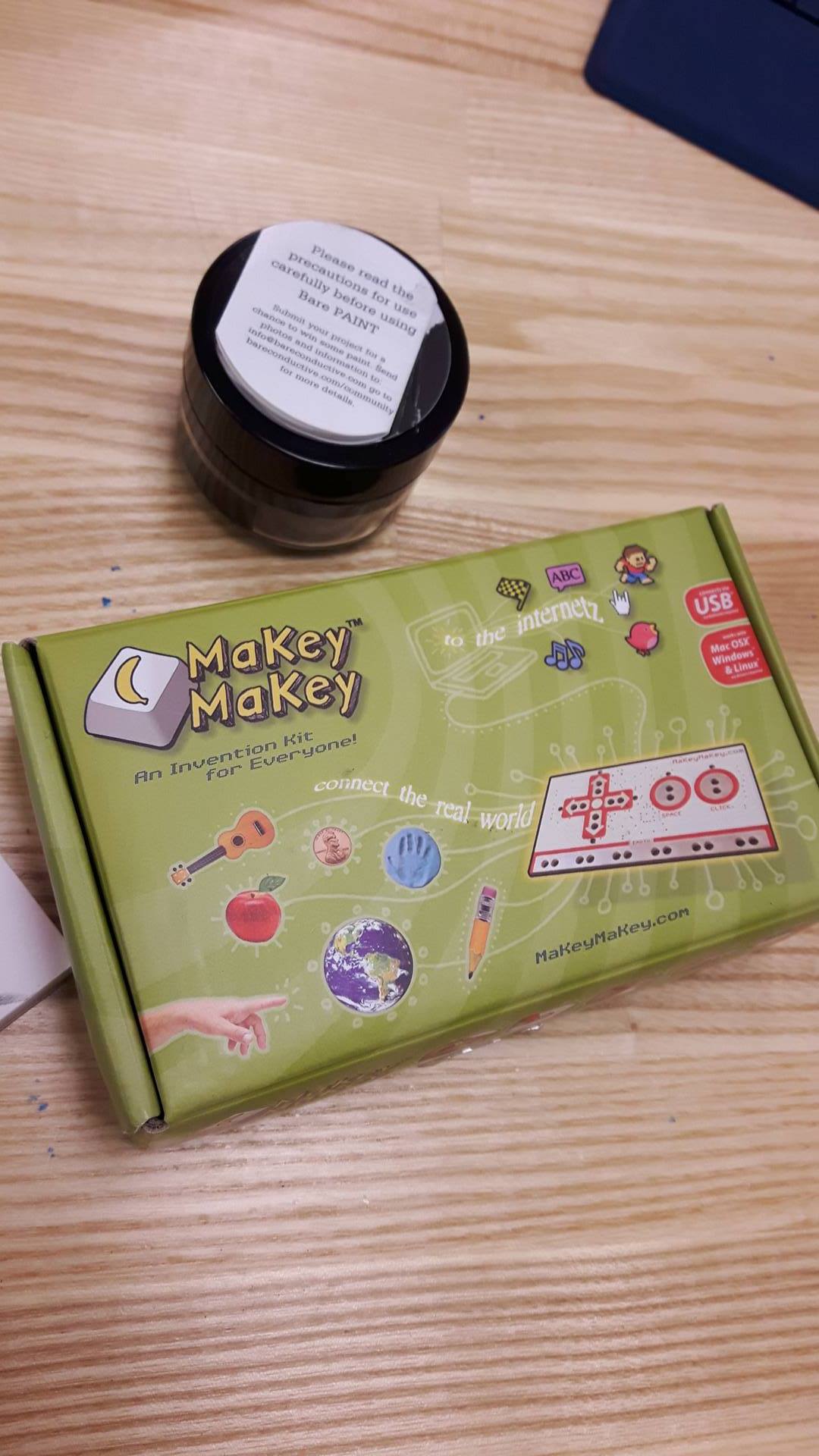 makeymakey and conductive paint.jpg