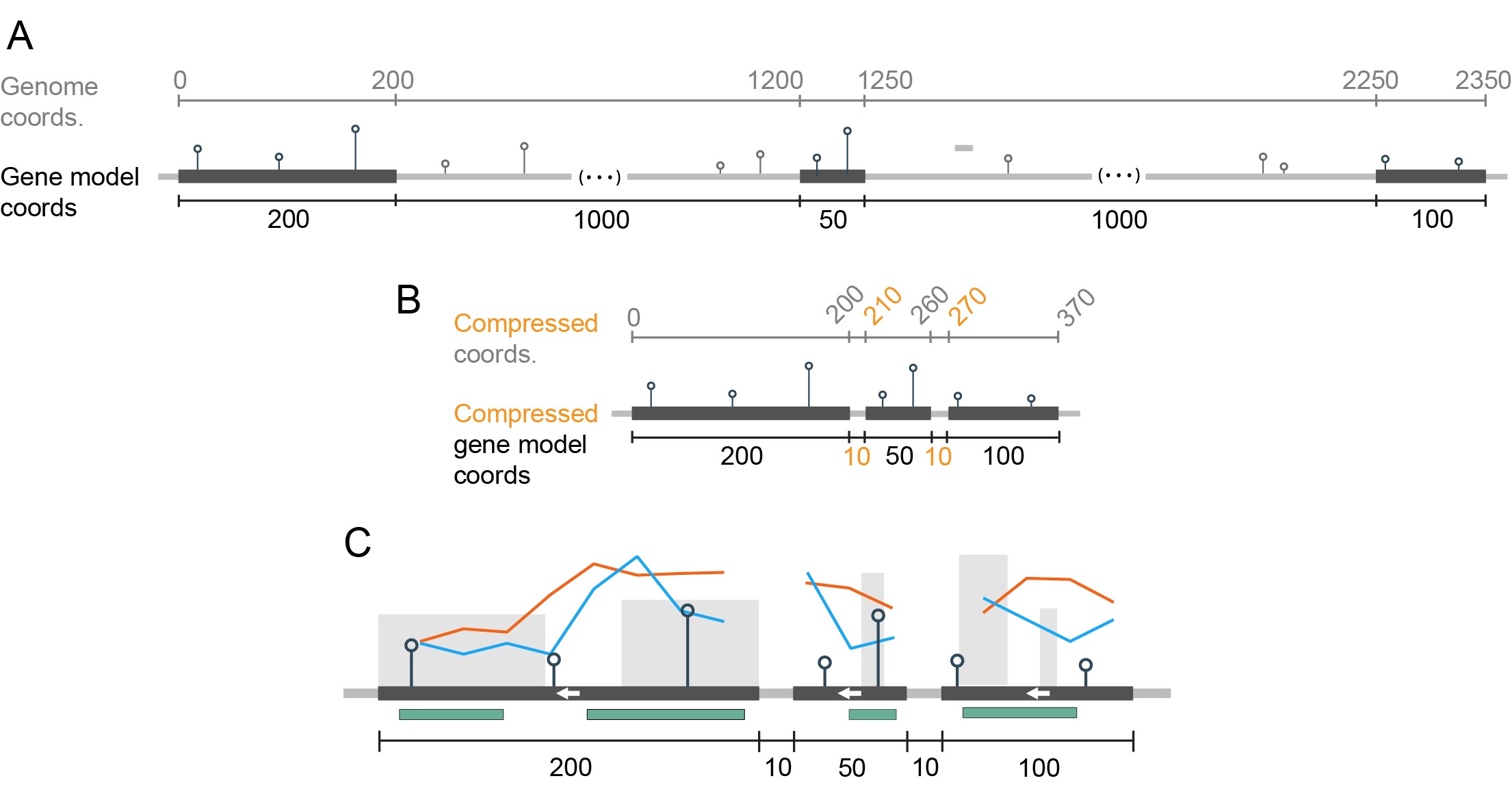 transcriptionary_figure_final.jpg