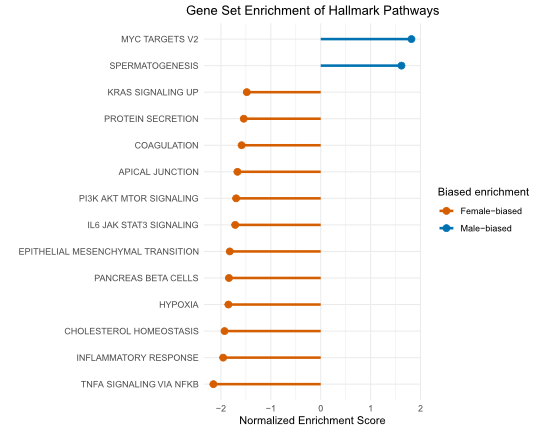 gsea_plot_hallmark.png