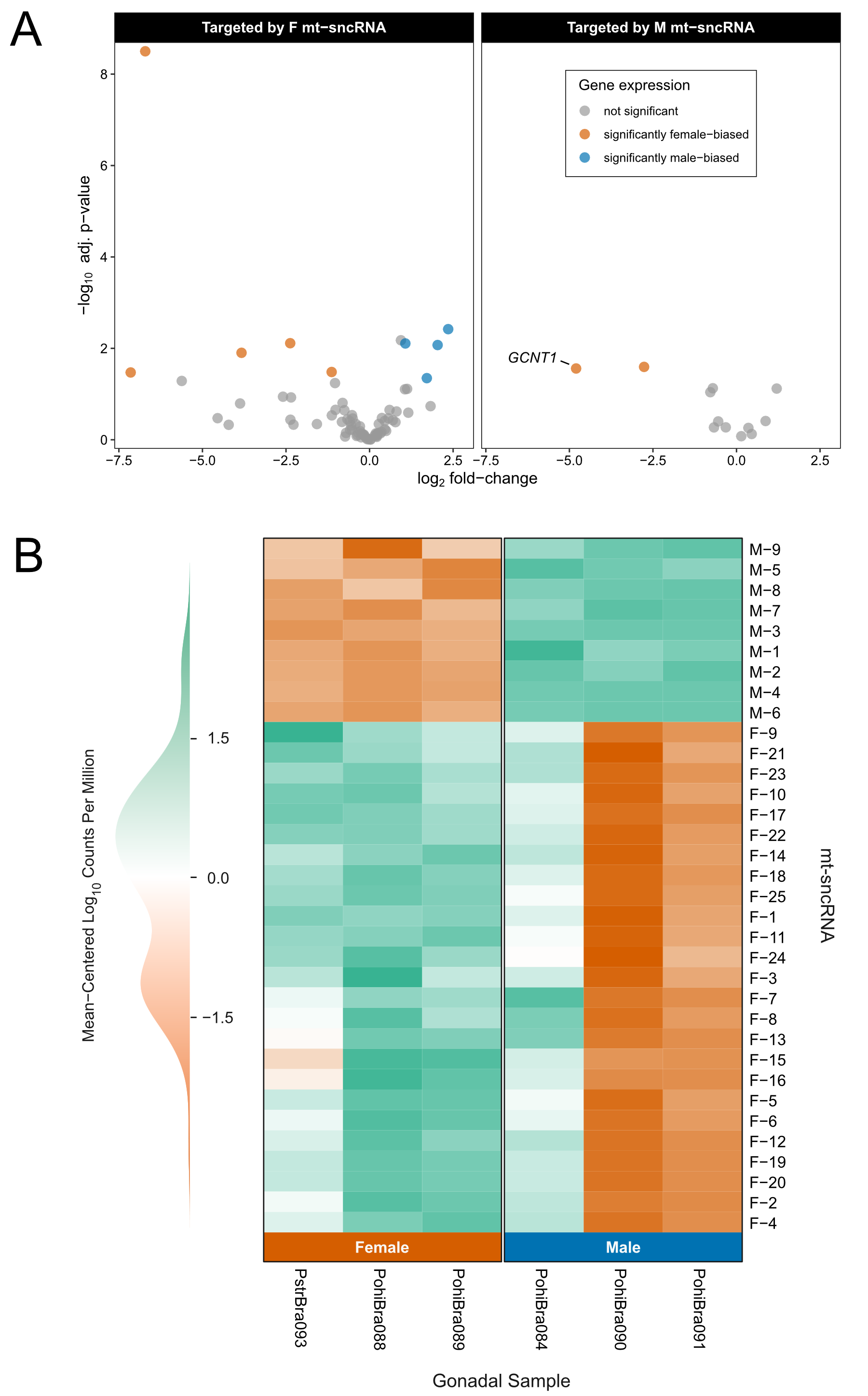 target_volcano_sncRNA_heatmap.png