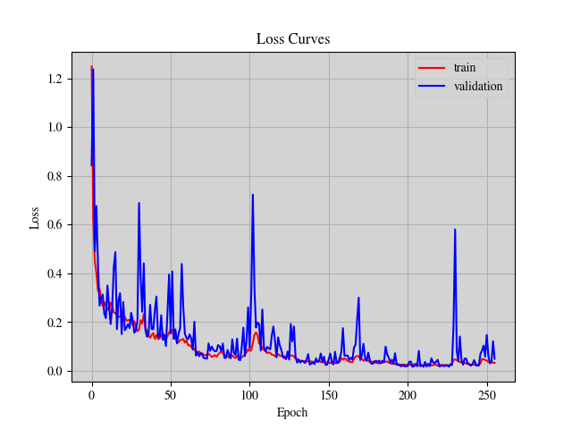 loss_curve.png