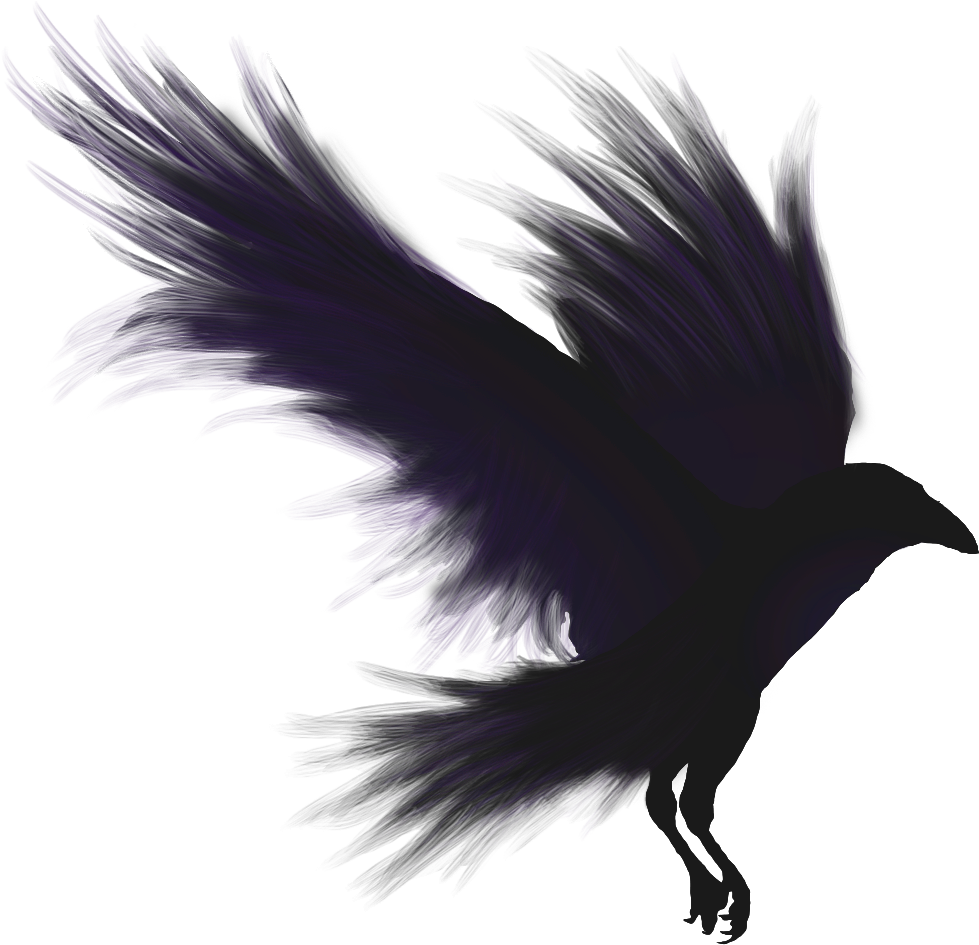 raven_PNG11.png