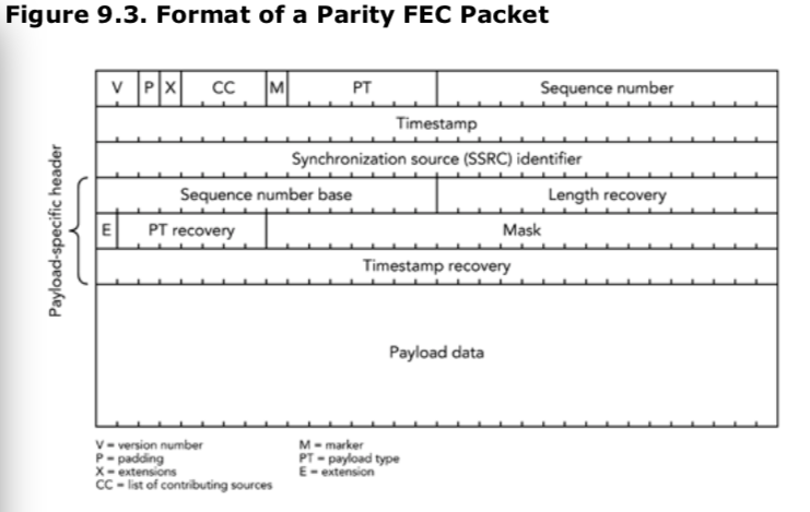 FEC_Packet_Format.png