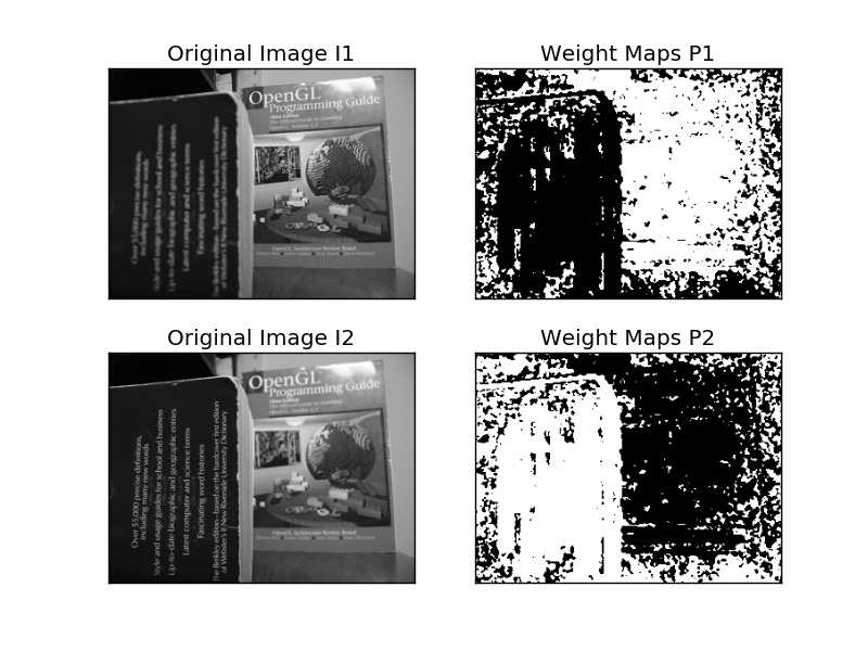 a09_weight_maps.png