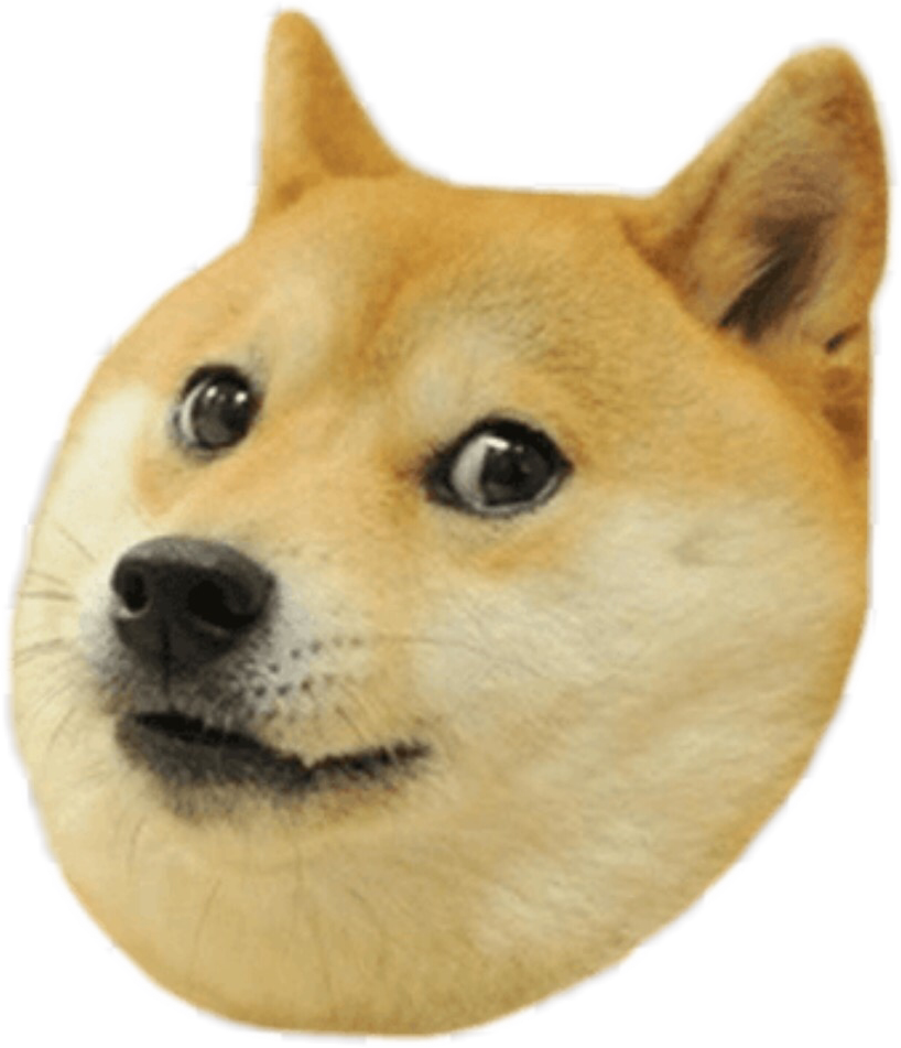 Doge.png