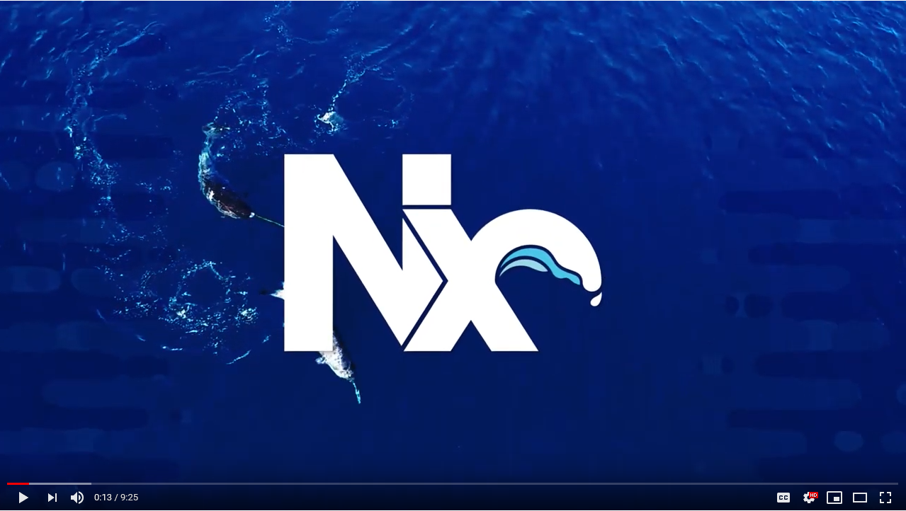 nx-angular-video.png